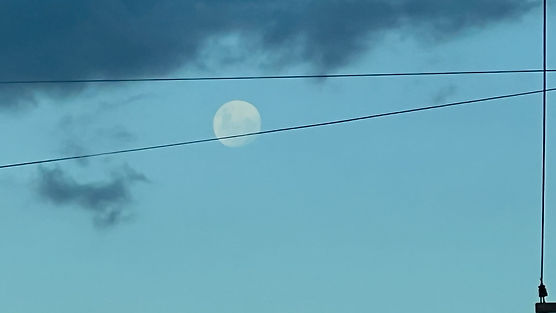 Ticiano Paludo - Eletric Moon (2024).jpg