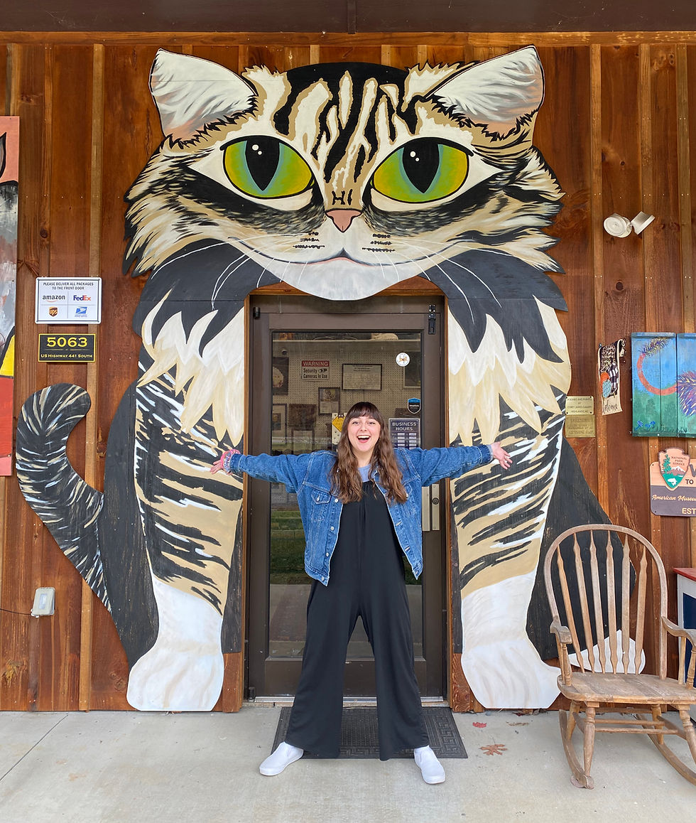 The American Museum of the House Cat - Sylva, NC