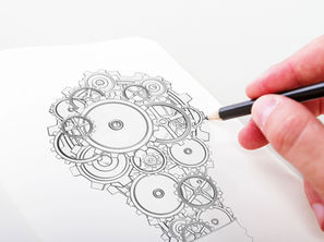 3 דוגמאות לשלד לתוכנית במודל רב תחומי