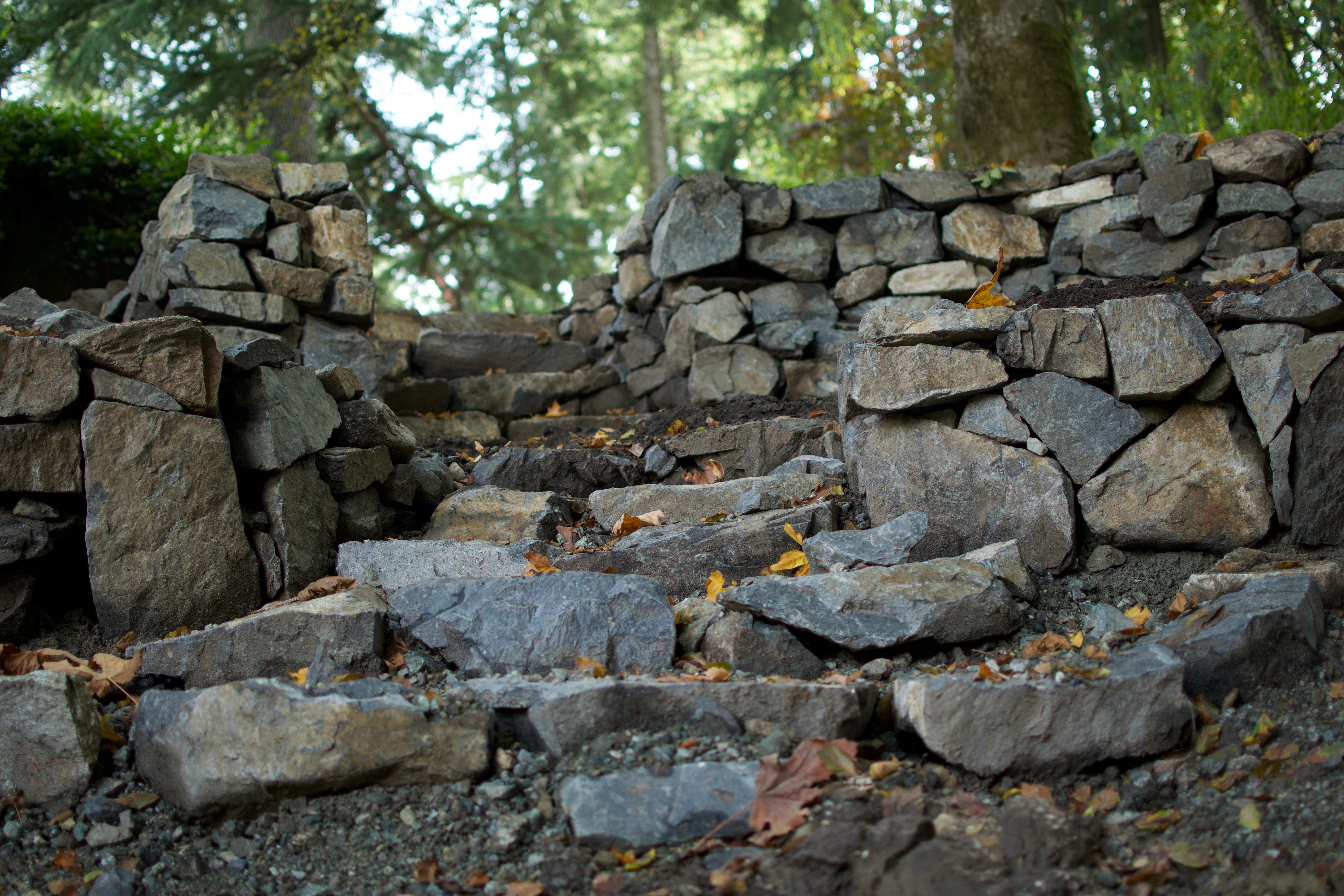 Retaining Wall, Victoria BC, Lennox Maso