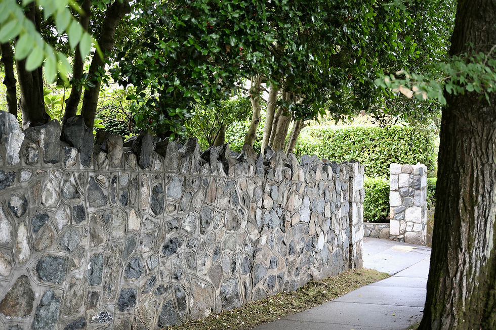 A heritage stone wall in Rockland, Victoria BC being steam cleaned by employees of Lennox Masonry
