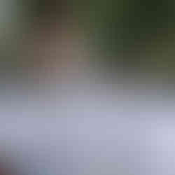 Stone retaining walls and a stone patio built by Lennox Masonry in Victoria BC