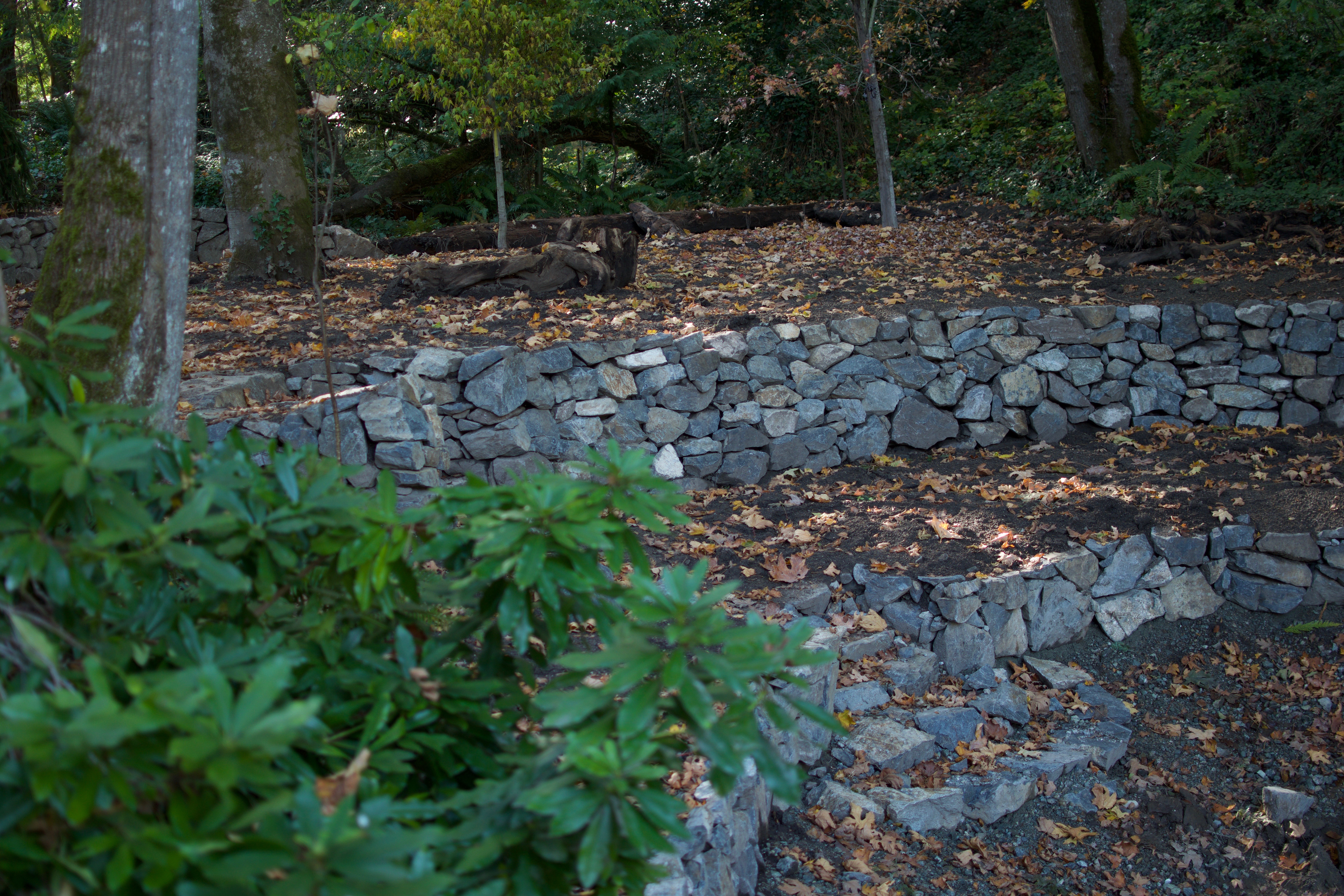 Retaining Wall, Victoria BC, Lennox Maso