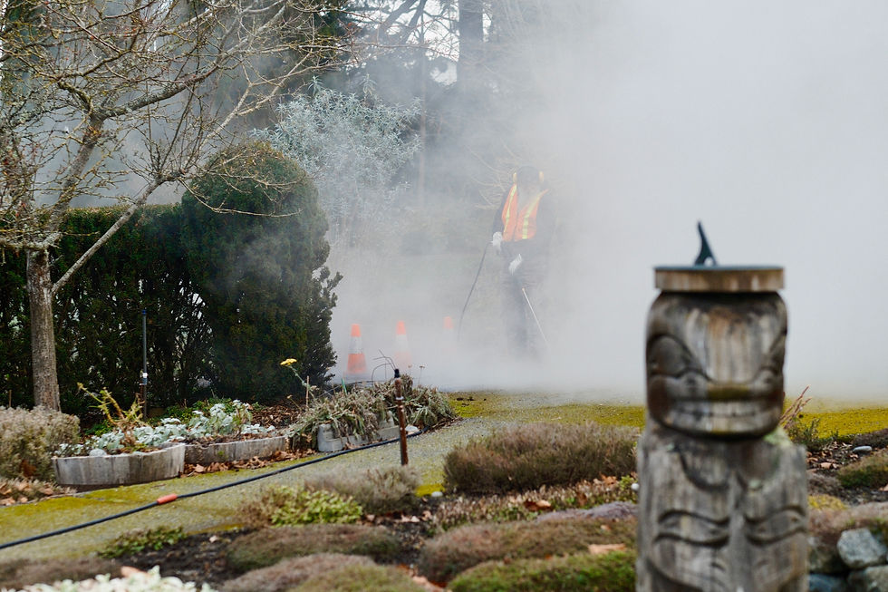 The grounds of a heritage property being steam cleaned with the DOFF Integra by Stone & Trowel in Victoria BC