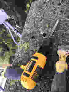 Air Chisel, Lennox Masonry, Victoria BC