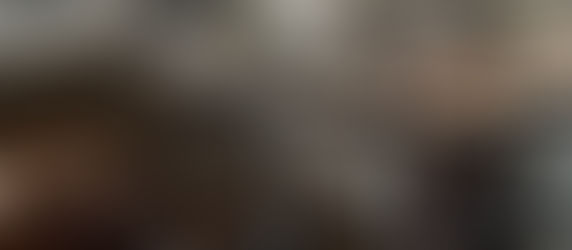 A Lennox Masonry employee steam cleaning the Government House in Victoria, BC with the DOFF Integra.