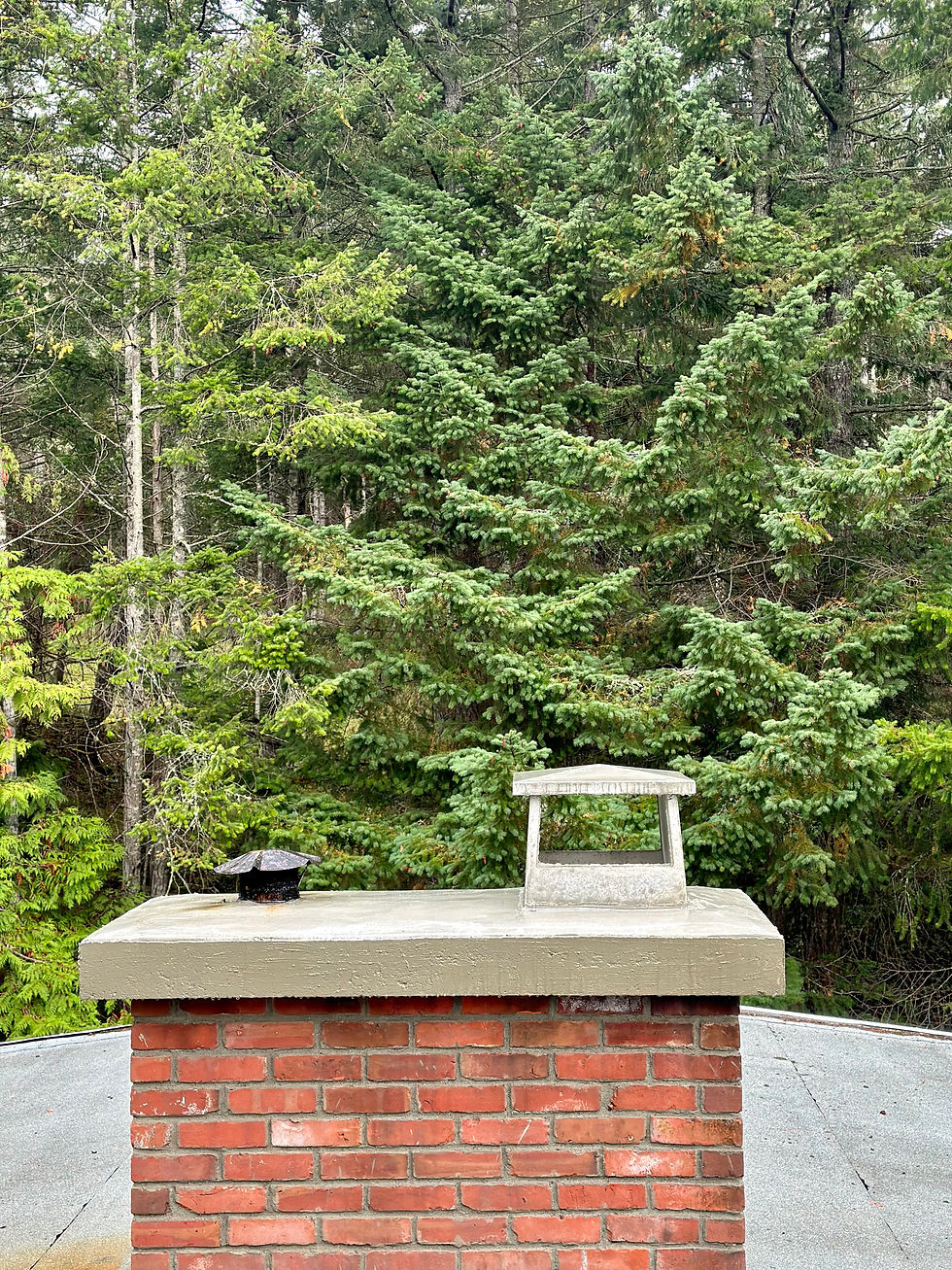A repaired chimney cap built by Island Chimney Solutions in Victoria BC
