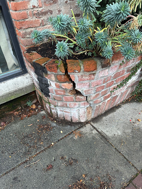 A brick retaining wall that is falling apart in Duncan, BC
