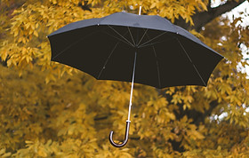 taylor-ann-wright-bljj8PxJF74-unsplash.j