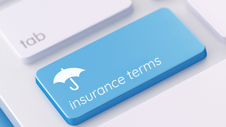 Insurance Terms to Know for Your Everyday Life 