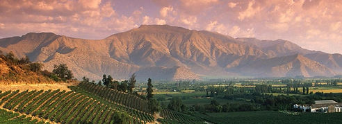 Sili Arjantin Turu, Sarap Turu