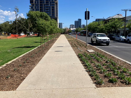 Whitmore Square Greening