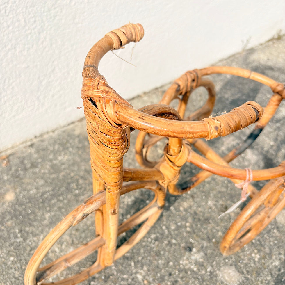 Thumbnail: Rattan bicycle plant stand