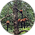 unnamed (1).png