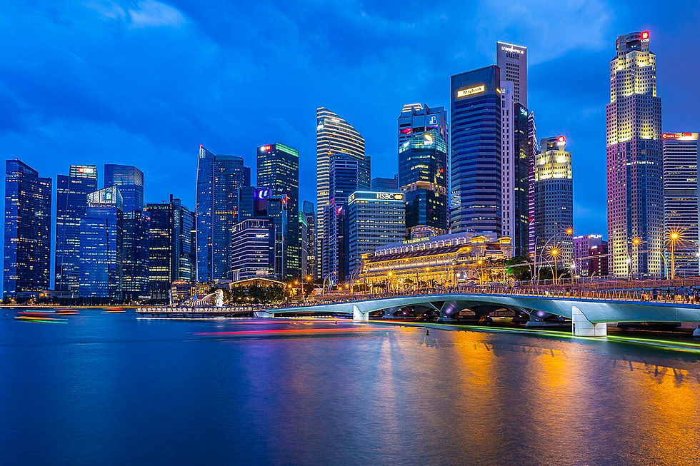 Navigating the Startup Landscape in Singapore