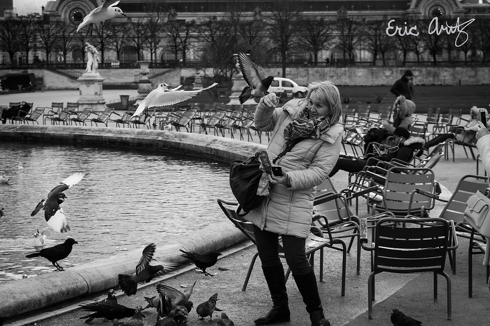A black and white photo of a Parisian feeding the birds at the Tuileries Garden in Paris.