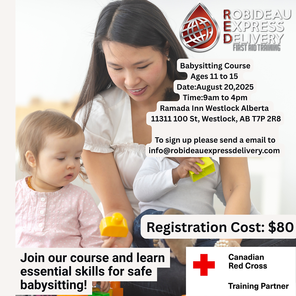 Westlock Babysitting Course