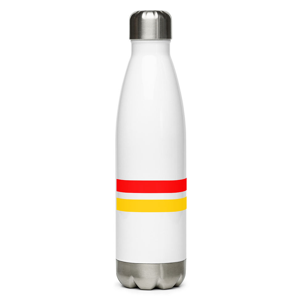 Miniatura: Stainless steel water bottle RG1
