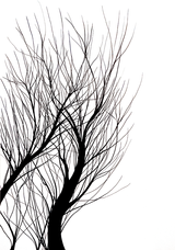 Sul Serio n1 70*100 acrilico su bristol, opera di Luca Martignani, artista di Resident Artist