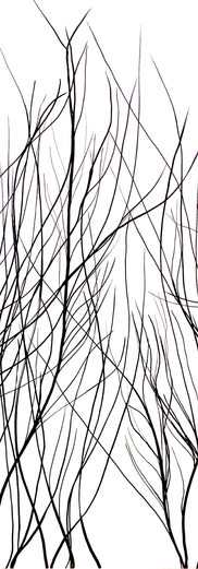 Sul Serio n4 70*100 acrilico su bristol, opera di Luca Martignani, artista di Resident Artist