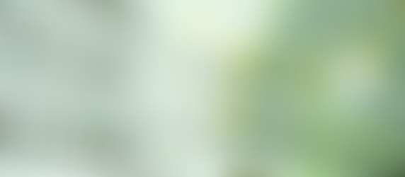 SOBRE EL PLAZO DE PRESCRIPCIÓN PARA RECUPERAR EL DINERO DE LOS GASTOS HIPOTECARIOS