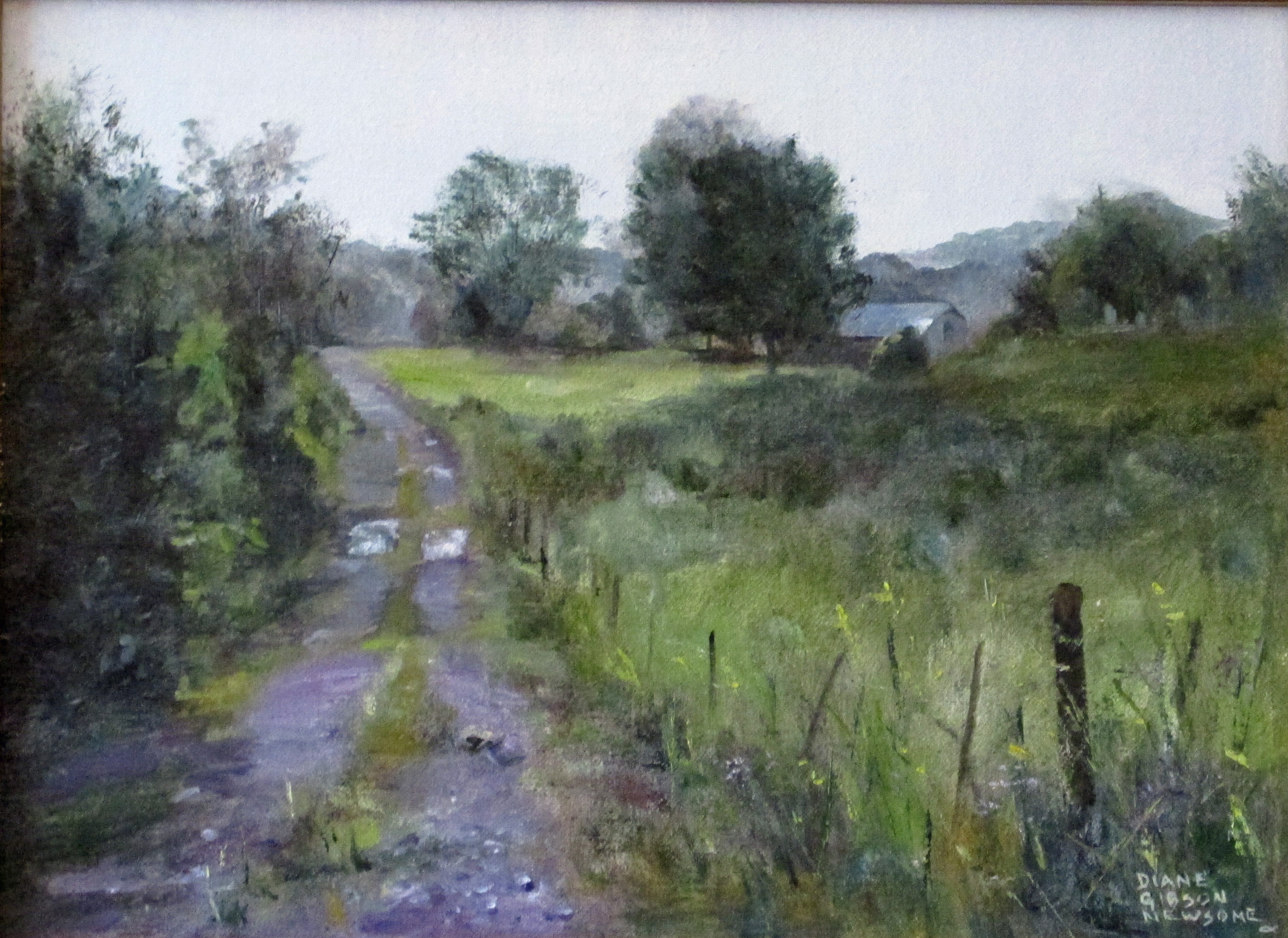 Lavender Morning