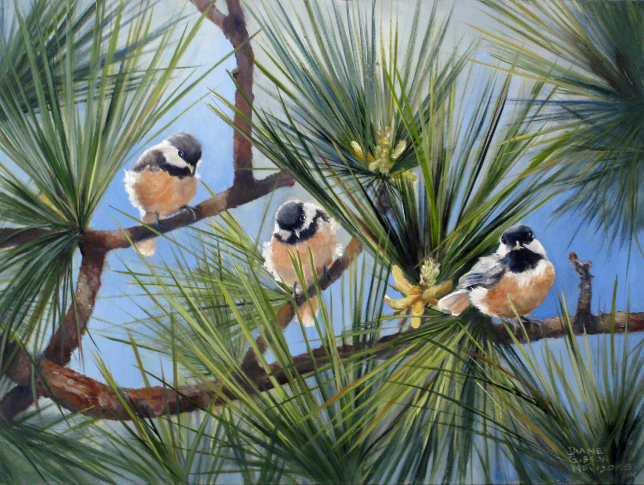 Chickadee Times Three