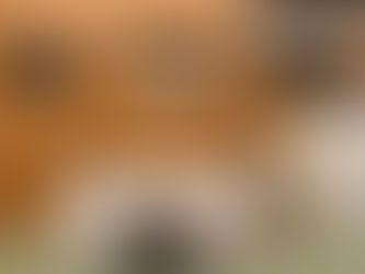 3月11日（水）、3月18日（水）稽古