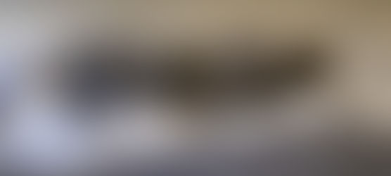 British Shorthair Kitten Development: Birth to 12 WeeksBy BritishShorthairBlue Cattery