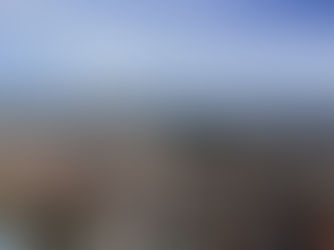 El crecimiento desbordado y sin planificación de las ciudades podría provocar su desaparición