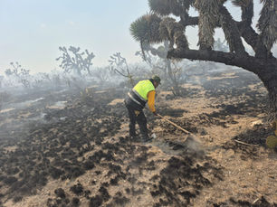 Aumenta riesgo de incendios en San Luis Potosí; autoridades emiten medidas preventivas