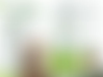 San Luis impulsa participación en certamen sobre tradición oral indígena