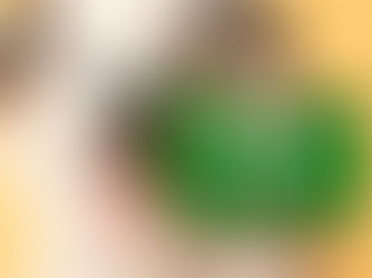 Gobierno del Estado amplía apoyo a la juventud y sus mascotas