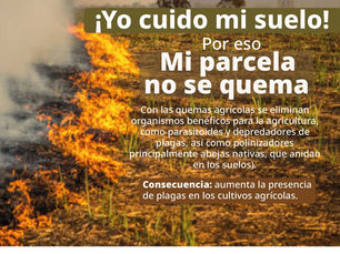 Campaña “Mi parcela no se quema” cobra mayor relevancia en la Huasteca