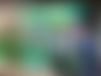 Ricardo Gallardo cumple: Placas mundialistas en 500 pesos