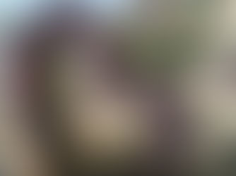 Ciudad Valles celebra el Día del Amor y la Amistad con eventos culturales