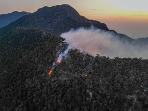 Unidos por Xilitla: Gobierno y Comunidad combaten incendio en la sierra alta