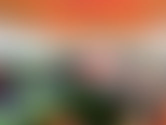 Estado genera nuevas oportunidades laborales con  “Empléate Sin Límites"