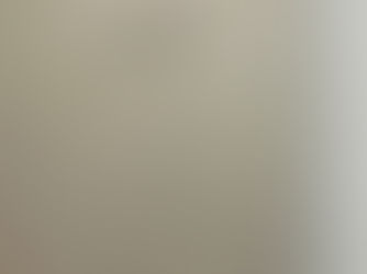 Niega Cbtis 46 suspensión de clases por amenaza: cambio de actividad estaba programado