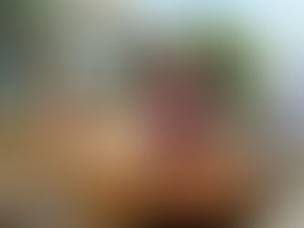 Matlapa supera expectativas en la celebración del Xantolo