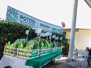 MUJERES RECIBEN APOYO PARA IMPULSAR PROYECTOS AGRÍCOLAS