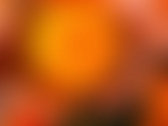 SLP pionero en cultivo de cempasúchil; clima podría afectar producción