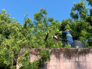 PC Municipal atiende reportes derivados de lluvias y tormenta eléctrica en Valles