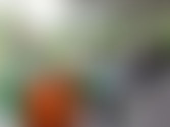 Huasteca potosina se fortalece con la integración de nuevos alcaldes al Partido Verde