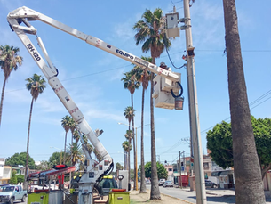 Restablecen servicio de alumbrado tras fallas eléctricas en el Centro y avenida 20 de Noviembre