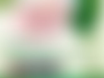 Incorporan vacuna contra el virus sincicial respiratorio por primera vez en San Luis Potosí