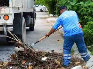 Sector Salud y Ayuntamiento de Ciudad Valles retoman descacharrización en enero de 2025