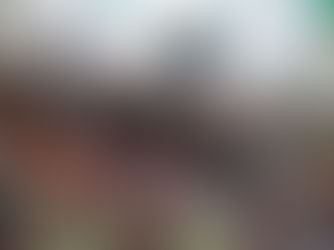 Presidente municipal David Medina promociona Fenahuap en SLP