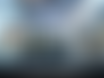 "Relatoras de la ONU Expresan Preocupación por la Eliminación del Inai en México"