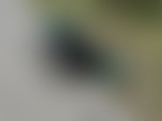 El 70 por ciento de accidentes en motocicleta terminan en decesos, reporta la Cruz Roja